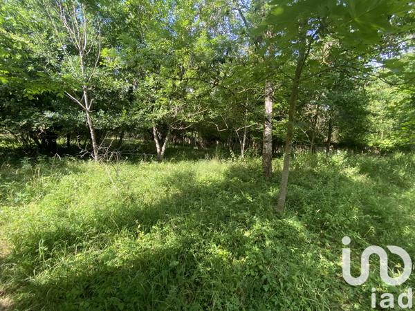 Terrain à vendre 5 000 m² Saint-Fargeau-Ponthierry