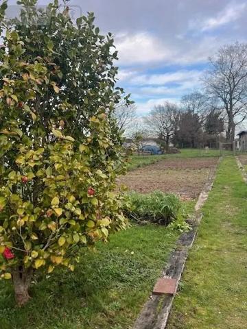 Achat - Maison Sarzeau 56370 4 pièces 115 m 2 2858 m 2