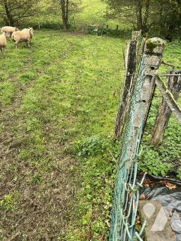 DANS HAMEAU EN CAMPAGNE MAISON AVEC TERRAIN