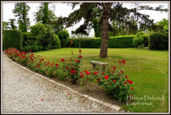 En vente cette belle propriété composée d'une grande maison principale et d'une maison de vacances.
