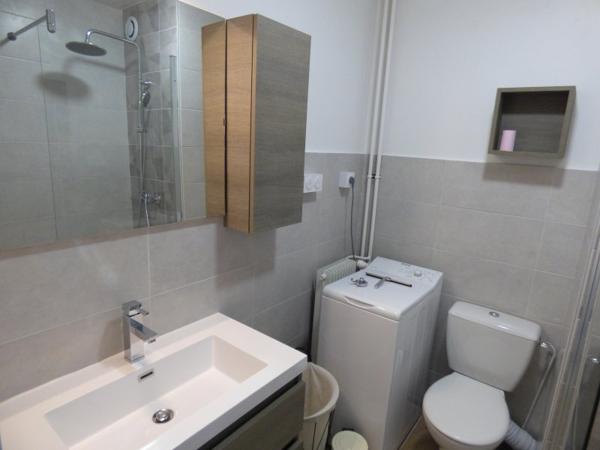 Location / Appartement T1 bis à Saint-Étienne (42100)