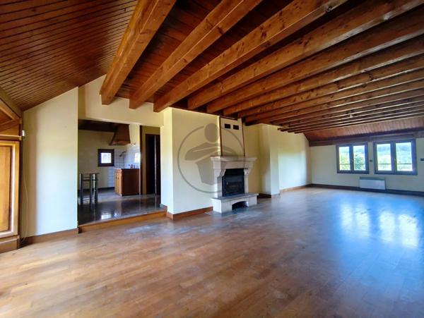 Vente                                                      Immeuble
                        
                     8 pièces                      384 m2                     à Saint-Hilaire