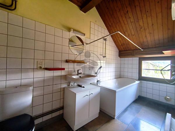 Vente                                                      Immeuble
                        
                     8 pièces                      384 m2                     à Saint-Hilaire