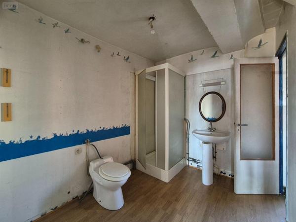 Local mixte (Pro/Hab) à vendre à Tessy-Bocage dans la Manche (50420), ref : 26-7