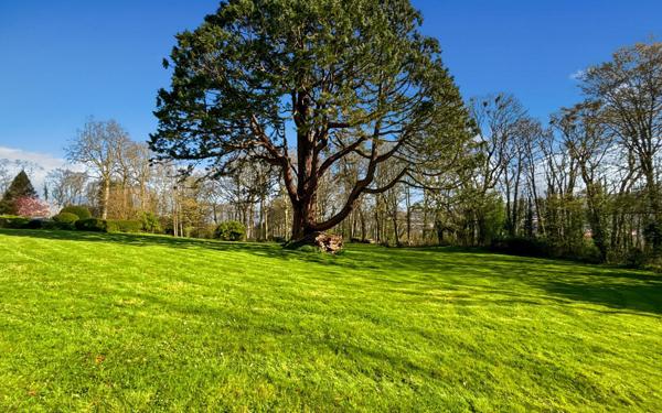 Maison à vendre    21 pièces • 625 m2 Outreau