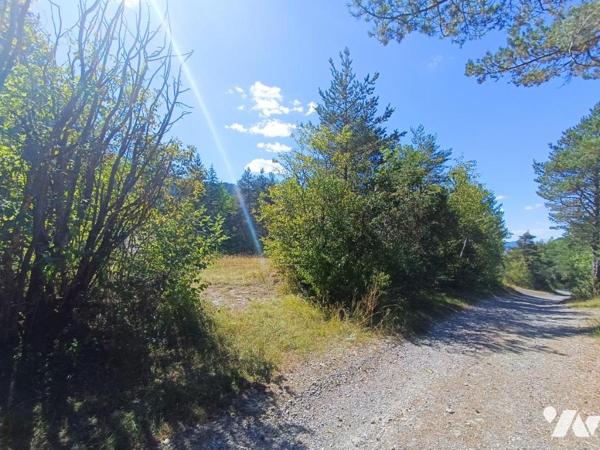 Vente Terrain à bâtir sur la commune de  SEYNE 
