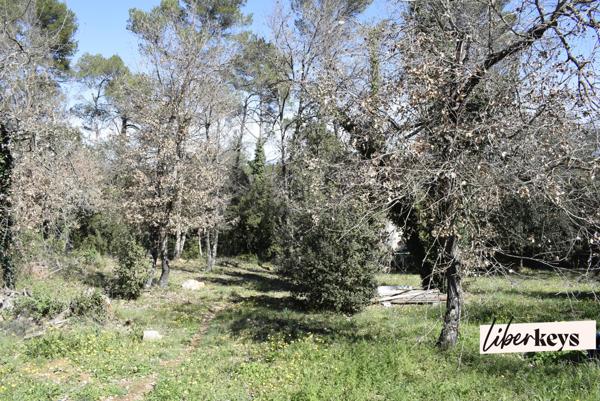Tourves, maison familiale atypique au cœur de la nature 