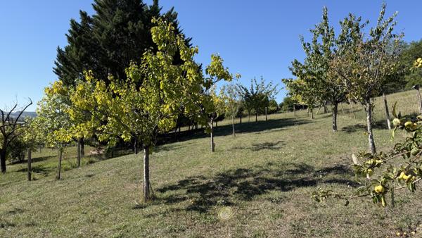 MAISON DE PLAIN-PIED AVEC PISCINE ET ENVIRON 2 HECTARES
