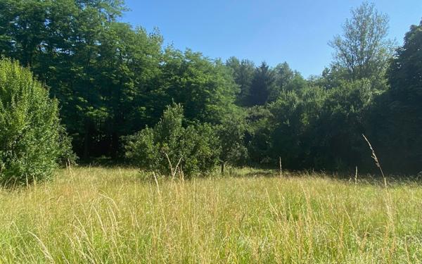 Terrain à vendre    Saint-Genès-de-Lombaud