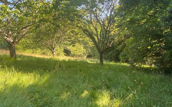 Terrain à vendre    Saint-Genès-de-Lombaud