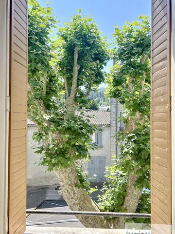 Malaucène (84340) MALAUCÈNE - CHARMANTE MAISON DE VILLAGE A PROXIMITE IMMEDIATE DES COMMERCES AVEC GARAGE