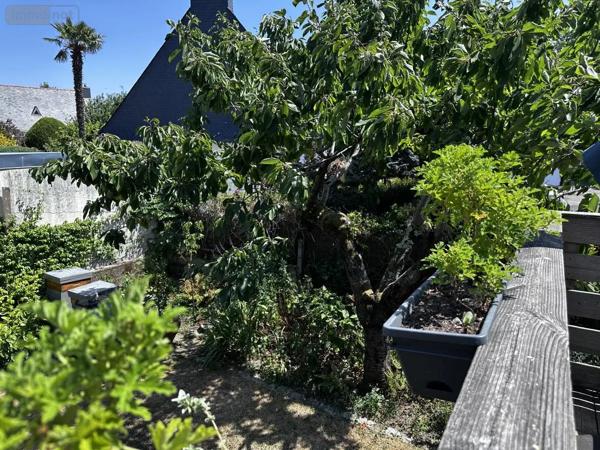 Achat - Maison Séné 56860 6 pièces 92 m 2 494 m 2