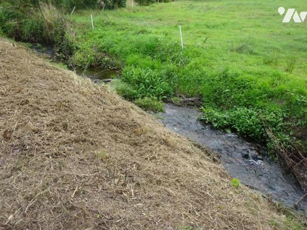 MOULIN A RENOVER PLOUZANE