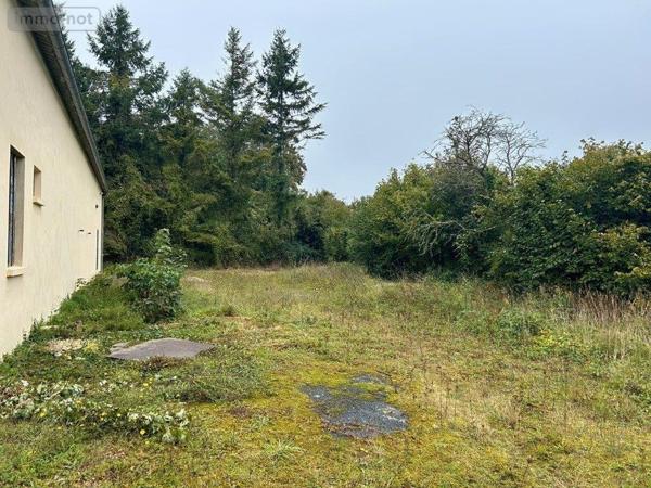 Local industriel à vendre à Cherré-Au dans la Sarthe (72400), ref : 396