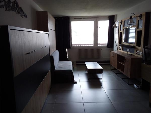 Appartement à vendre 1 pièce 24 m² avec balcon, cellier, casier à ski.