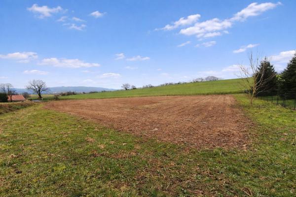 Grand terrain constructible 3520 m² 15min de Aire