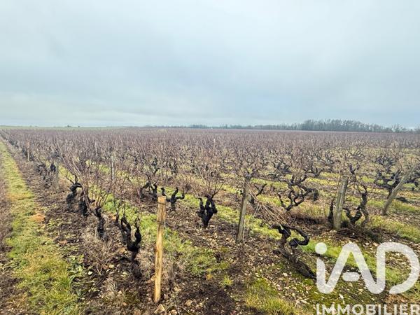 Terrain à vendre 24 342 m² Vernou-sur-Brenne