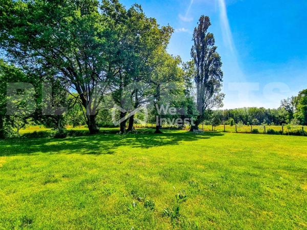 Magnifique Propriété à 10 Minutes de Chinon