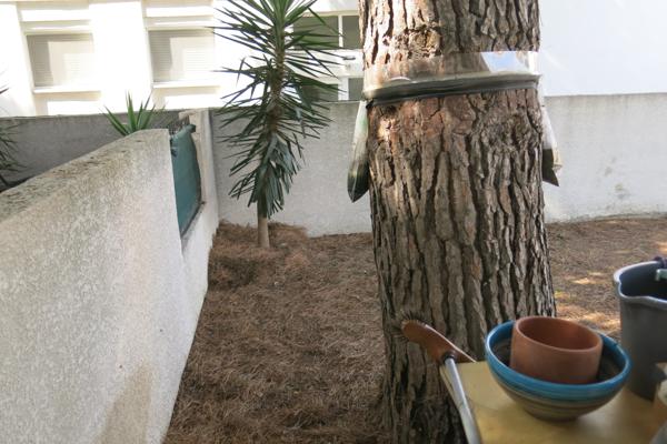 Ensemble de 2 appartement 121m² Le Grau-du-Roi (30240)