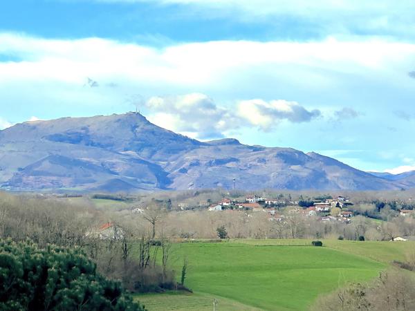 Maison à vendre  6 pièces - 234 m2 ARBONNE - 64