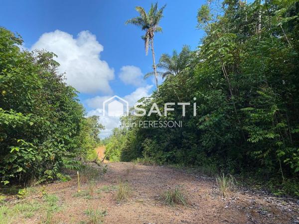 Terrain de loisir à Roura secteur La Comté