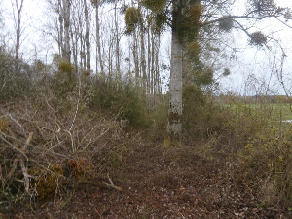 TERRAIN LIBRE POUR GARDE D'ANIMEAUX OU LOISIRS A VOIR... Saint-Georges-sur-la-Prée (18100)