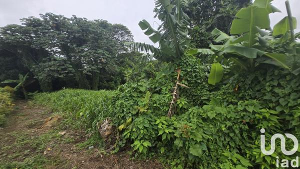 Terrain à vendre 630 m² Le Lamentin