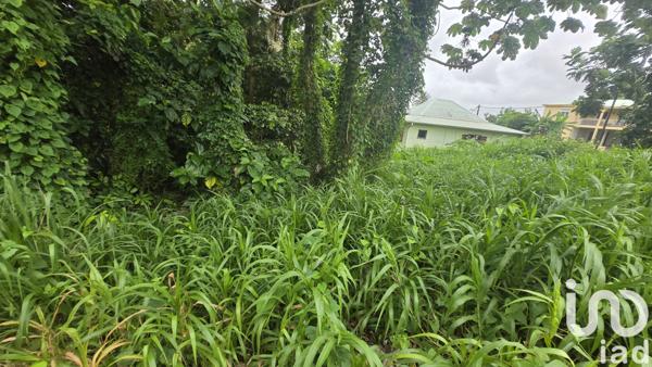 Terrain à vendre 630 m² Le Lamentin