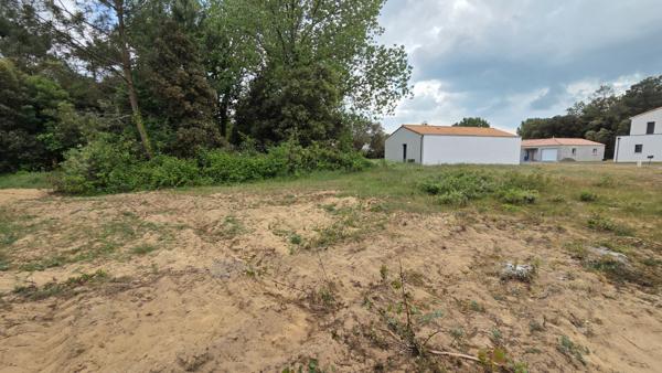 Terrain Saint Hilaire De Riez 658 m2 13