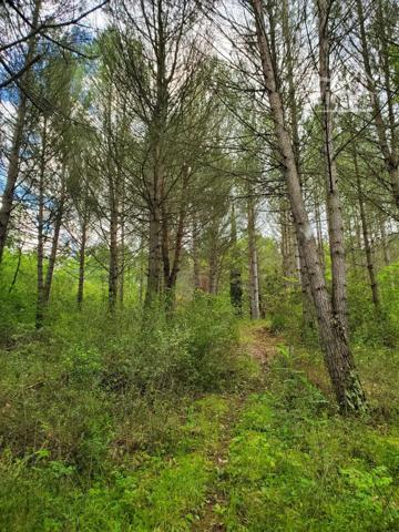 A vendre un terrain de 4175m² bordé par un ruisseau dans un cadre exceptionnel avec une bâtisse de 60m² à rénover.