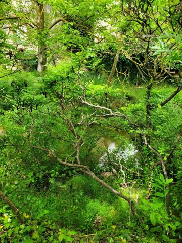 A vendre un terrain de 4175m² bordé par un ruisseau dans un cadre exceptionnel avec une bâtisse de 60m² à rénover.