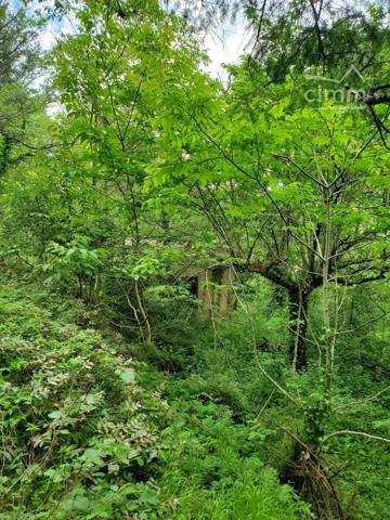 A vendre un terrain de 4175m² bordé par un ruisseau dans un cadre exceptionnel avec une bâtisse de 60m² à rénover.