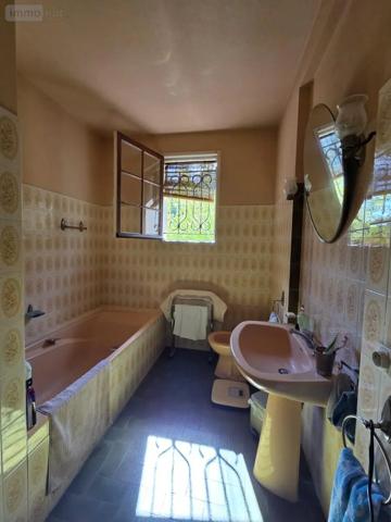 Achat - Maison Villemandeur 45700 163 m 2 2706 m 2