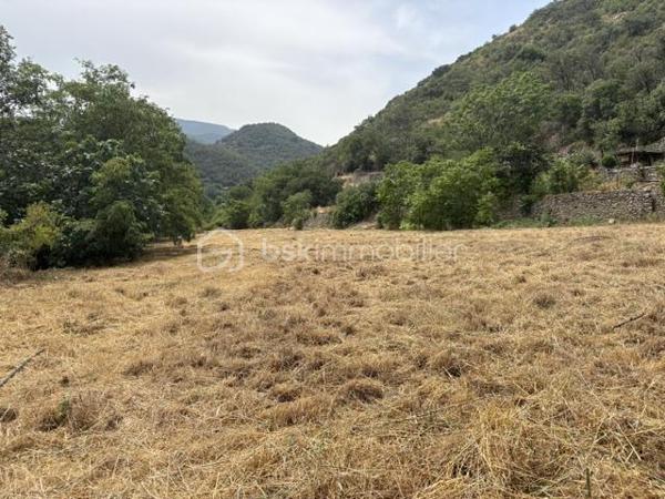 Terrain agricole de 4495 m2 sur la commune de Ria sirach 
* Ce terrain se compose de 4 parcelles 
3 d’entre elles sont irriguées eau toute l’année ( quelques tuyaux d’irrigations sur place )
La quatrième de 80 m2 à proximité du canal est constructible pour y faire un abri de jardin 
* Petit casot en pierres  de 2 x 2 avec une porte pouvant se fermer avec cadenas 
Ce terrain a été nettoyé avec soin par les propriétaires 
Arboré avec ombre et soleil 
* Une bambouseraie permet d’avoir une vraie havre de paix près du canal pour y pêcher la truite 
Accessible en voiture 
Taxe foncière de 19 euros par an 
Taxe eau de 65 euros par an  
* Terrain idéal pour y mettre des animaux ( chevaux,  moutons ,chèvres )
Planter des arbres fruitiers ( Pêchers, abricotiers ,cerisiers ….) et aussi des oliviers 
Ou y profiter en familles et entre amis