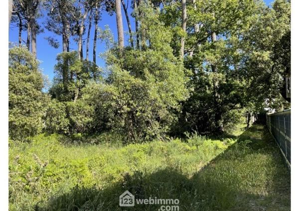 Terrain à bâtir 1182 m² à Jard-sur-Mer 85520