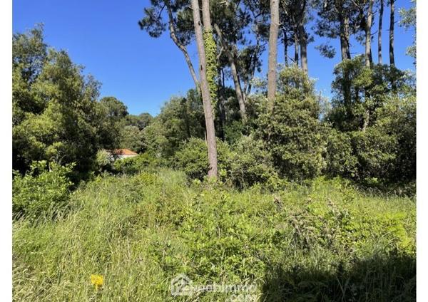 Terrain à bâtir 1182 m² à Jard-sur-Mer 85520