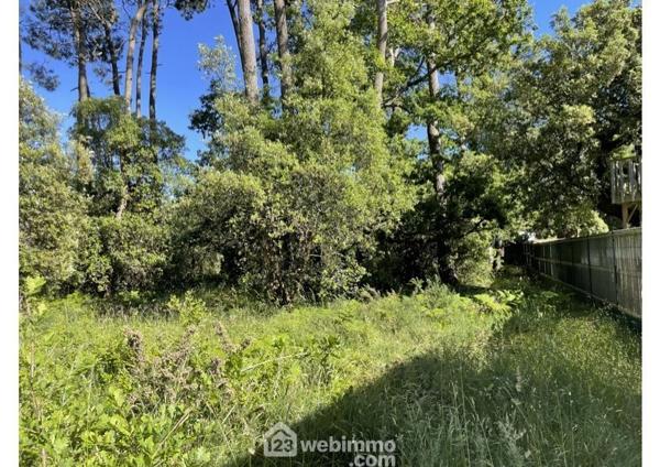 Terrain à bâtir 1182 m² à Jard-sur-Mer 85520