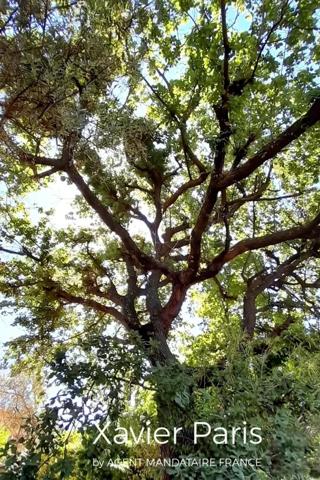 Immobilier Bouc-Bel-Air (13320) – Maison 202m2 – 849 000 €