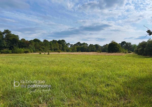 TERRAIN HORS LOTISSEMENT - 1497 m²
