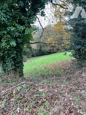 Maison d'habitation sur  un parc de 9 500 m2