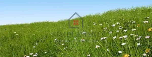 Terrain viabilisé de 300m²