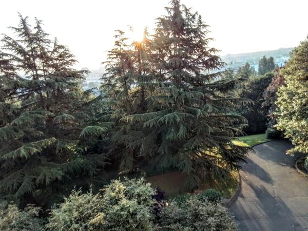Rosny-sous-Bois Colline de la Boissière – Parc de Nanteuil – 4 pièces traversant de 89 m² avec terrasse, balcons et double stationnement – Secteur Golf / La Boissière
