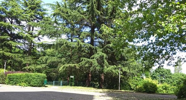 Rosny-sous-Bois Colline de la Boissière – Parc de Nanteuil – 4 pièces traversant de 89 m² avec terrasse, balcons et double stationnement – Secteur Golf / La Boissière