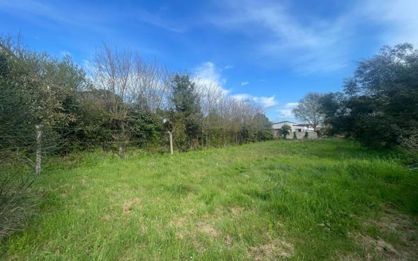 Terrain à vendre    La Turballe