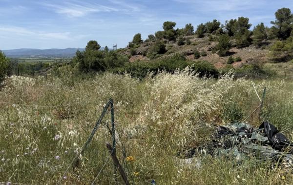 Vente Terrain Avec garage Tourouzelle