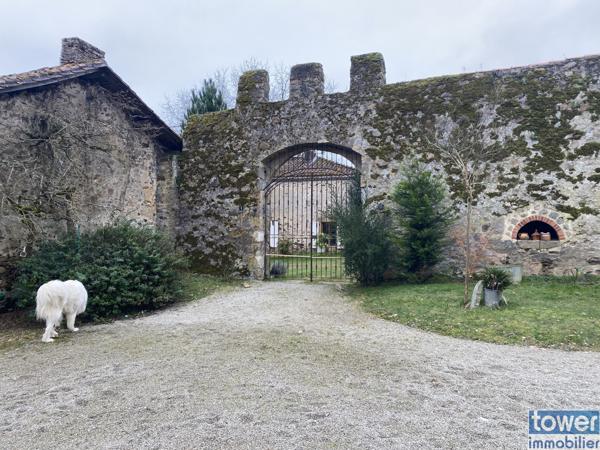 Domaine de caractère