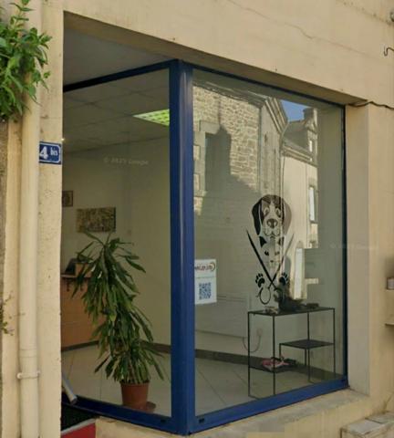 À vendre – Salon de toilettage canin et félin au cœur de Questembert