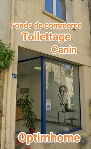À vendre – Salon de toilettage canin et félin au cœur de Questembert