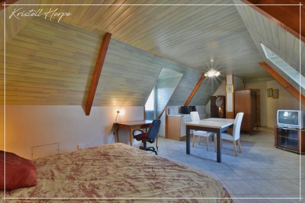 Dpt Finistère (29), à vendre CARHAIX PLOUGUER maison P9 de 232 m² - Terrain de 2133 m²