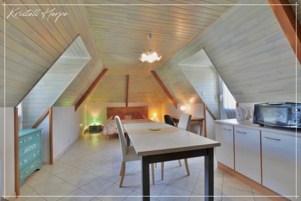 Dpt Finistère (29), à vendre CARHAIX PLOUGUER maison P9 de 232 m² - Terrain de 2133 m²